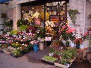 「花辰」　（東京都北区）の花屋店舗写真1