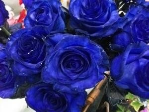 青いバラ｜「花辰」　（東京都北区の花キューピット加盟店 花屋）のブログ